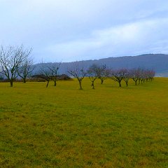 P1180129    Guida Mara Perlato, con Mario Dalcomune.